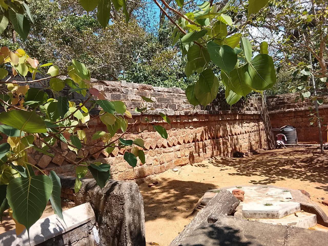 Mahamevna Uayana